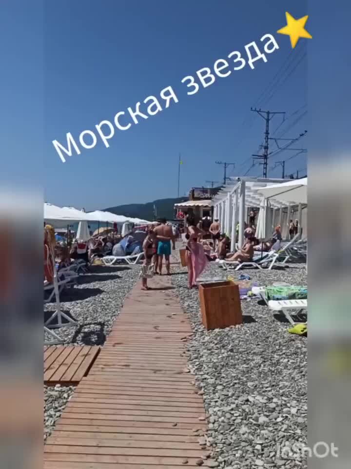 Лазаревское пляж морская звезда фото