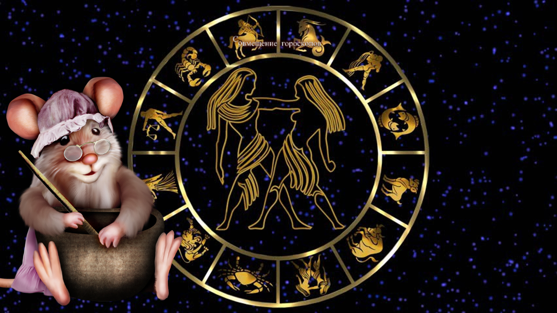 Вес крысы. Места для кhscbyuf на таможне. Близнецы крысы 2024. Крысы близнецы. Близнецы крысы 2024.