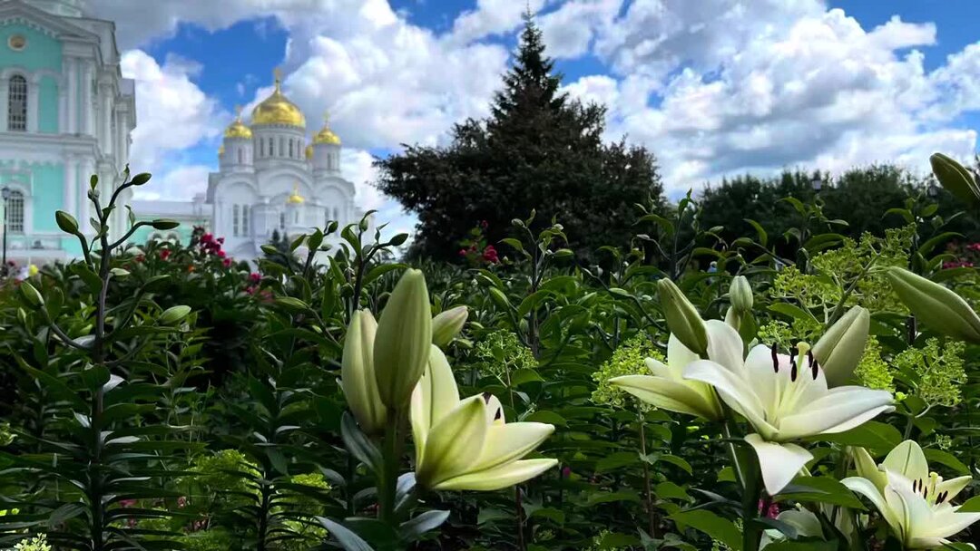 Проект Лавры Дивеево