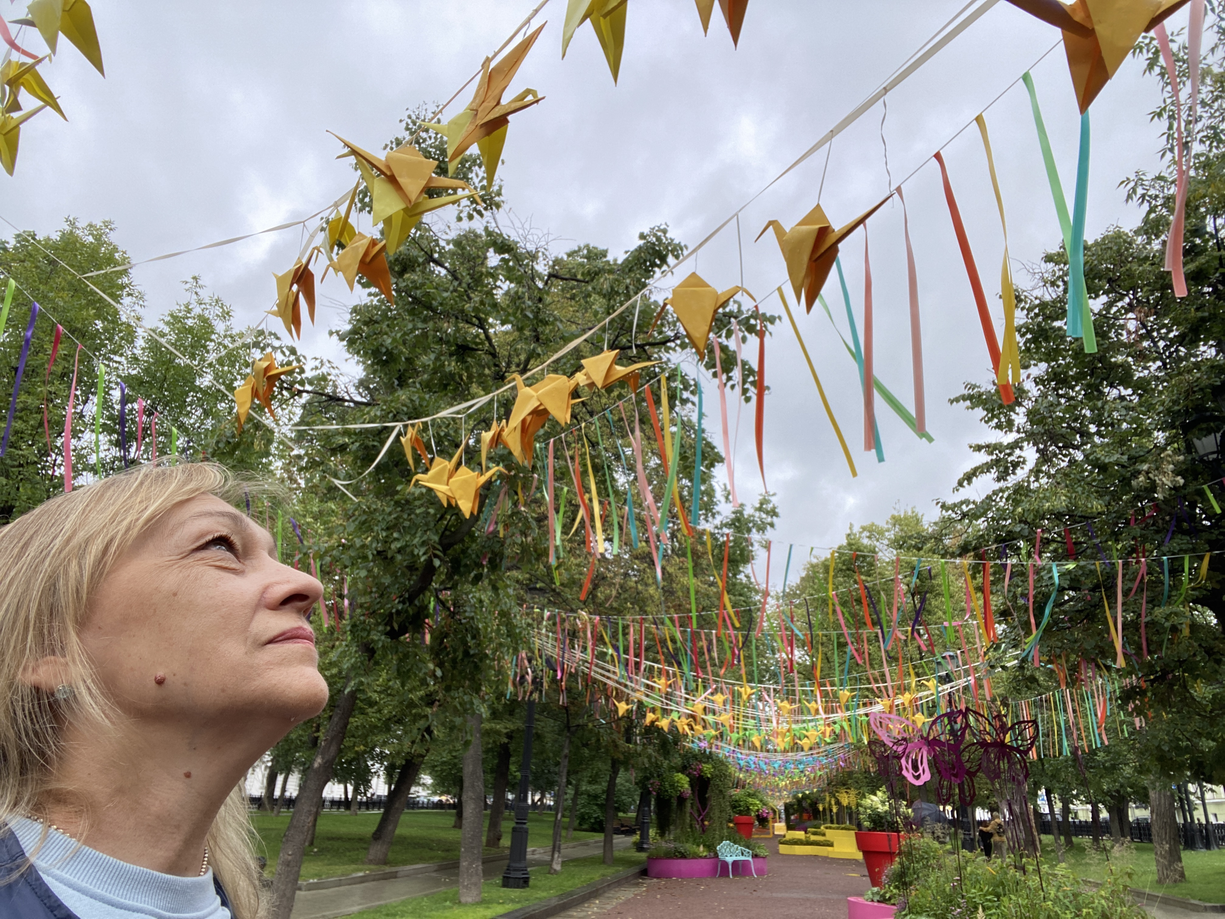 Сормовская 208/1. Джем 2023. Цветочный парад питер. 1-й неопалимовский переулок, 8. Джем 2023.