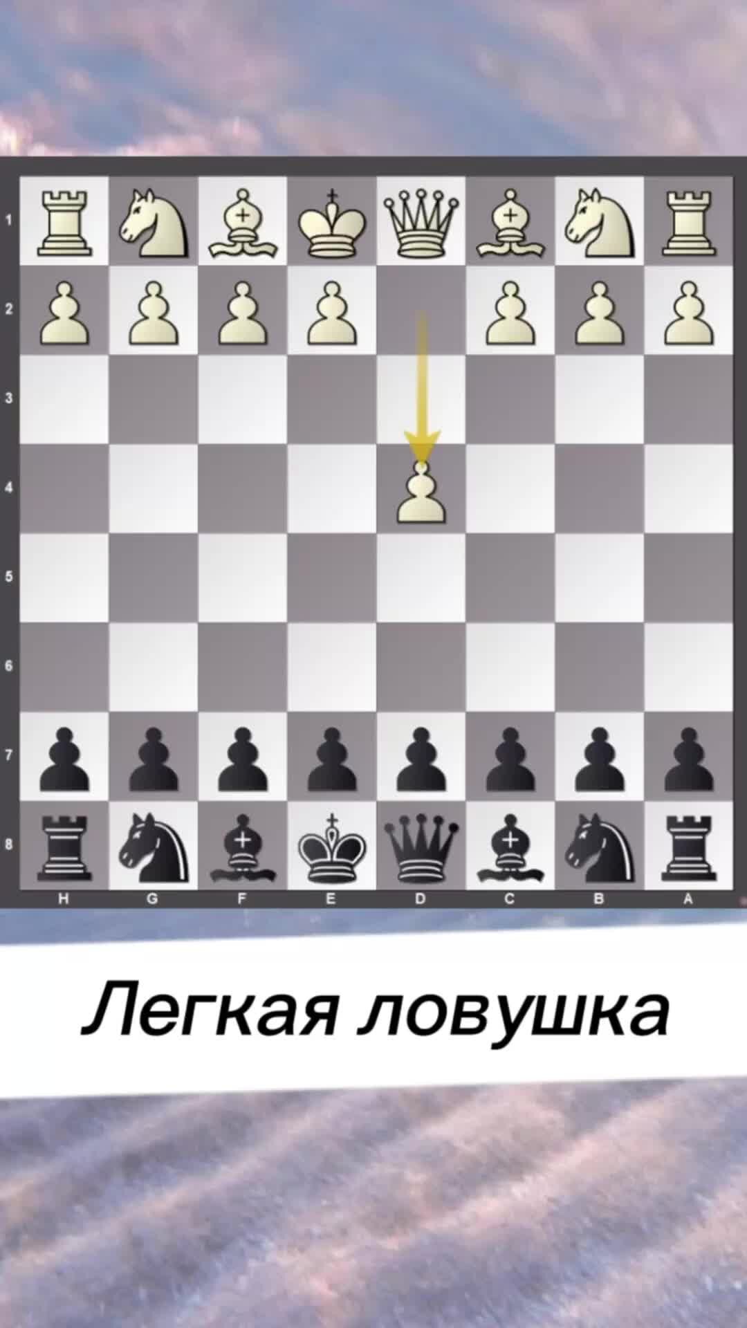 Школа Шахмат Chesswave | ЛЕГКАЯ ловушка для начинающих | Дзен