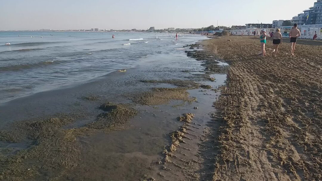 Море в анапе в мае. Анапа цветет море 2023. Анапа пляж. Море в Анапе сейчас. Цветение моря в Анапе.