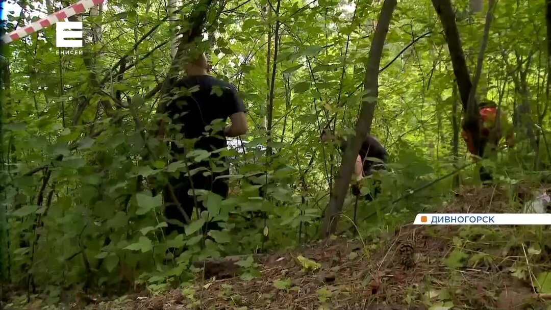 убитая девочка дивногорск