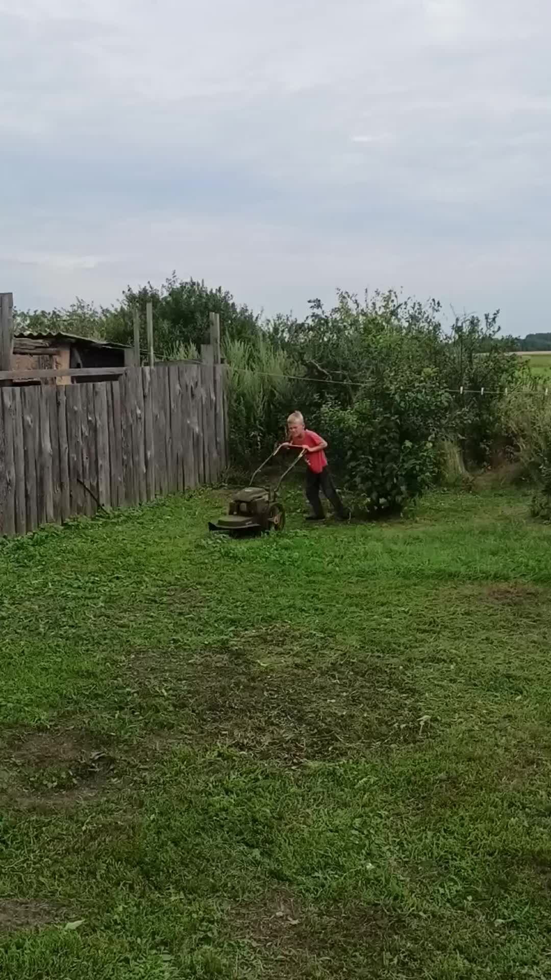 В деревне Жемчужино | Теперь у нас в семье Марк отвечает за покос травы ...