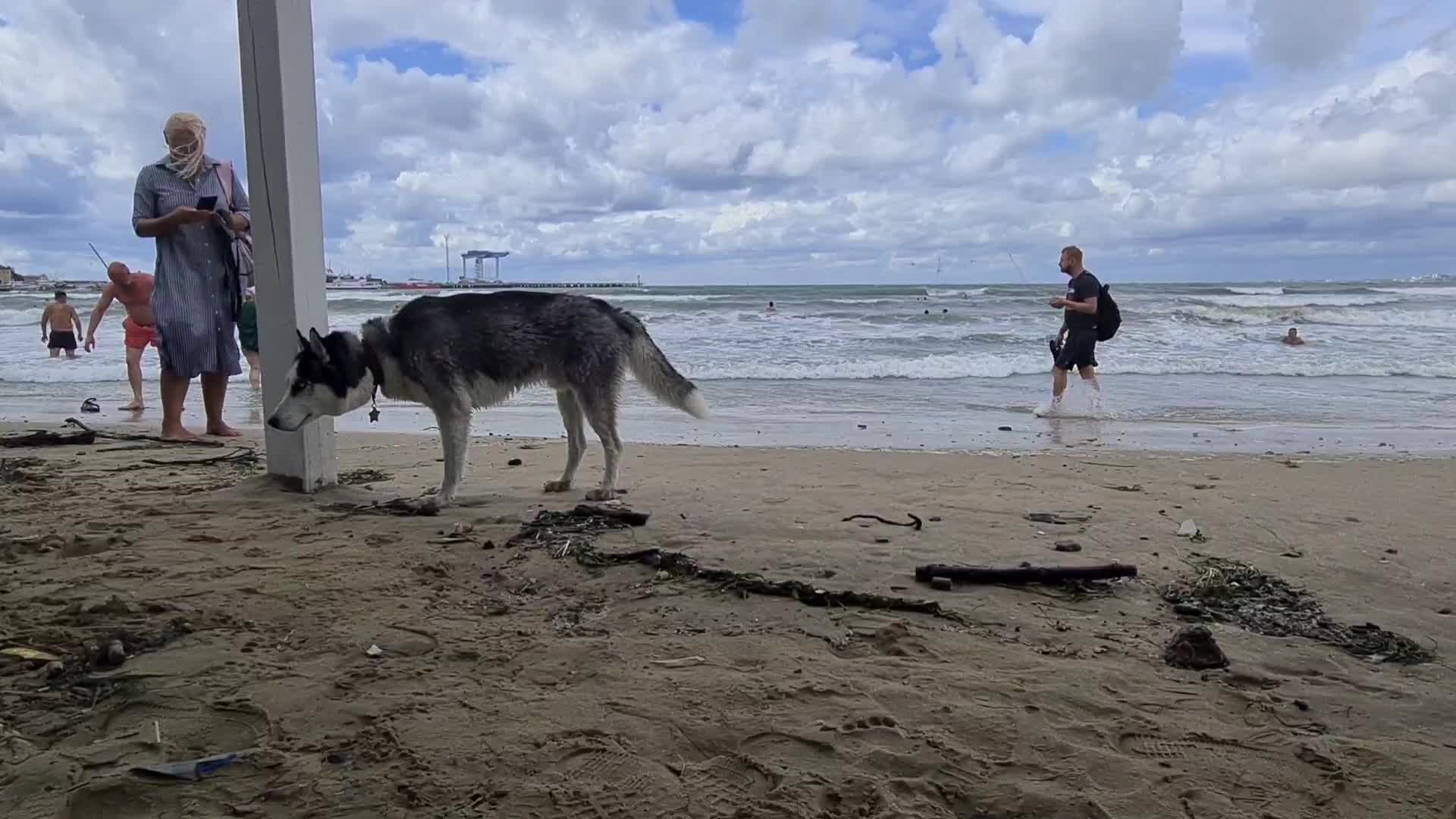 что такое тягун на море в анапе