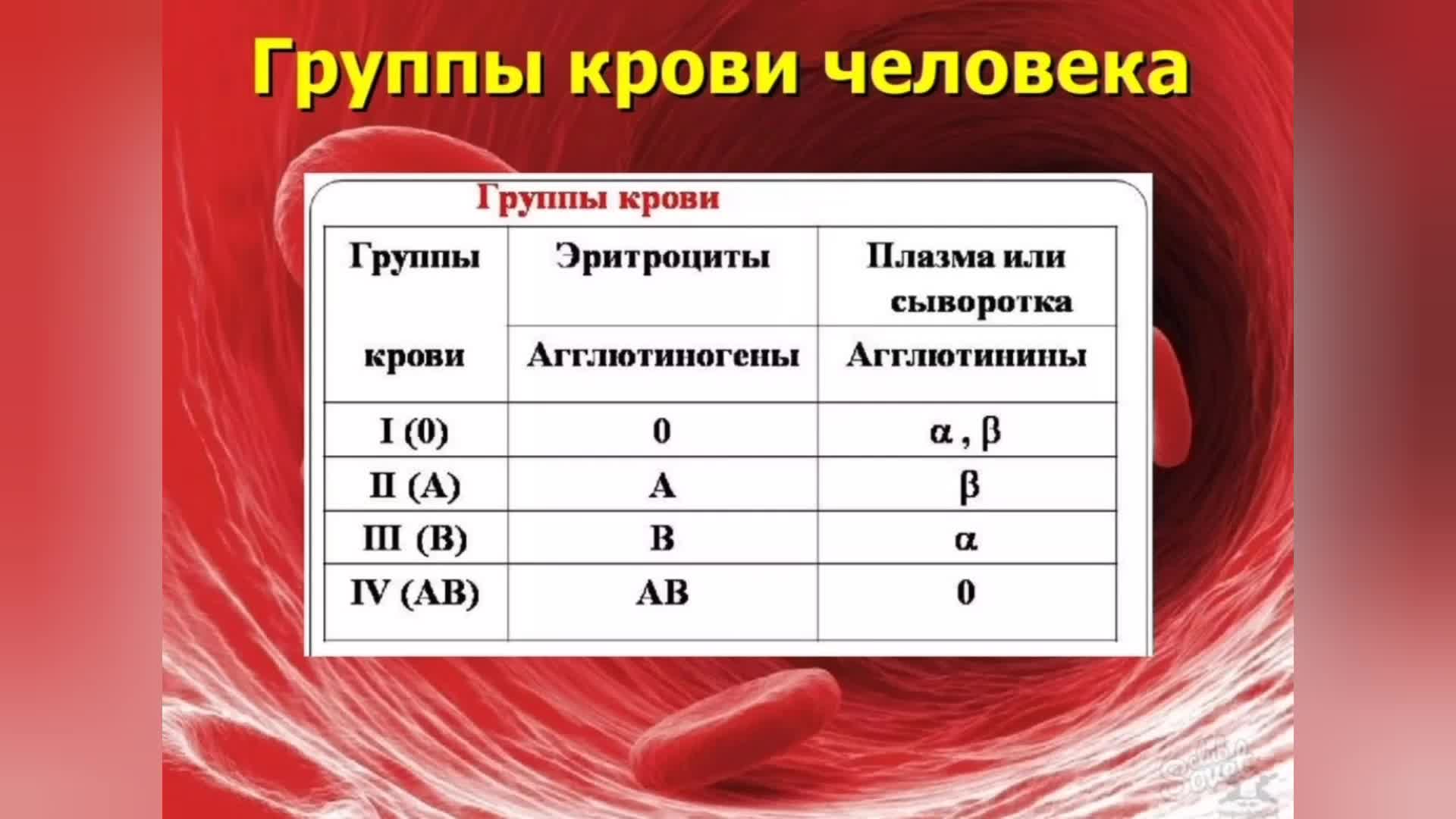 Какая группа стоит