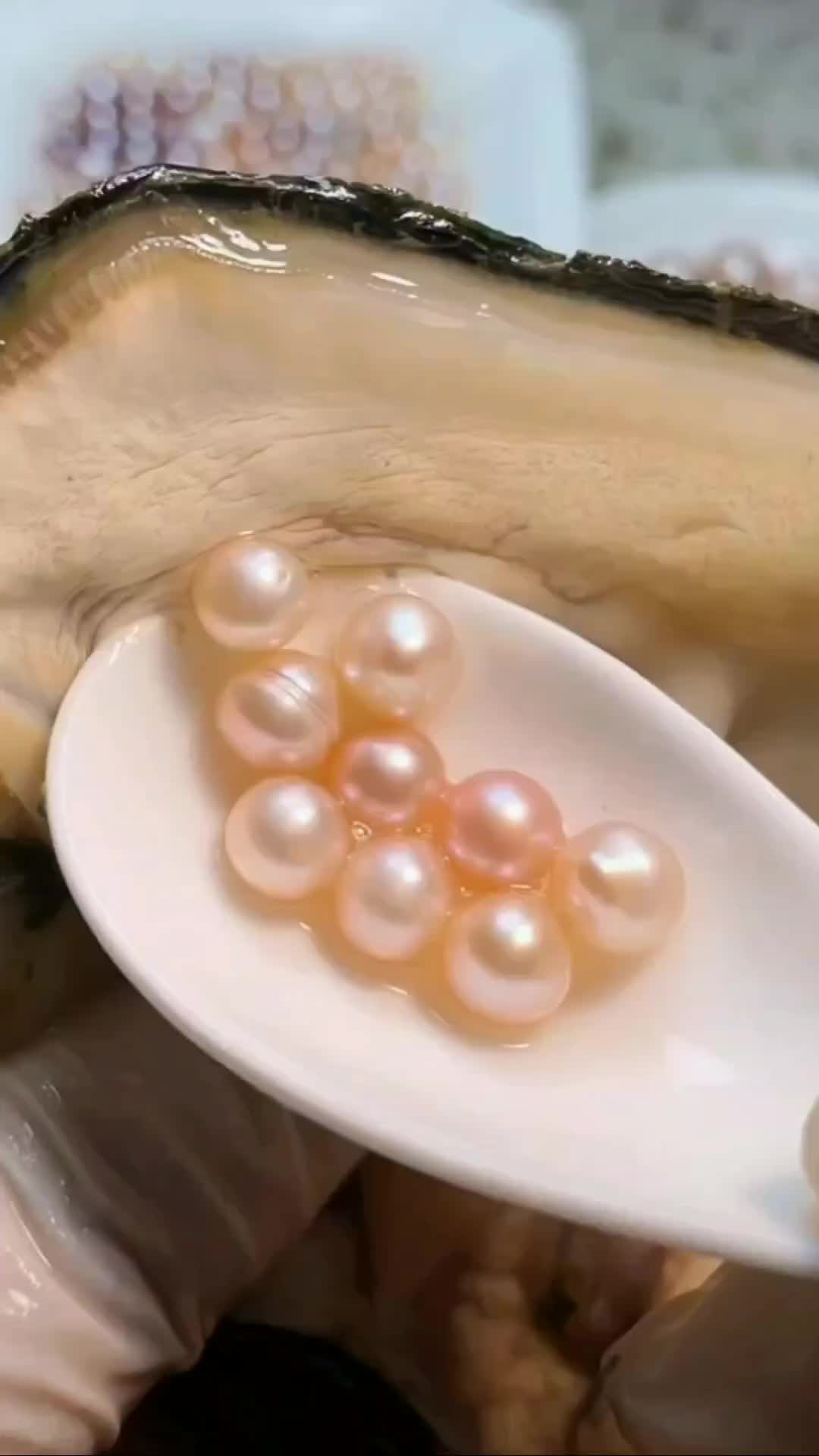 Жемчугоносные моллюски. Добыча жемчуга. Речной жемчуг добыча. Как собирают жемчуг. Моллюск пресноводная жемчужина.