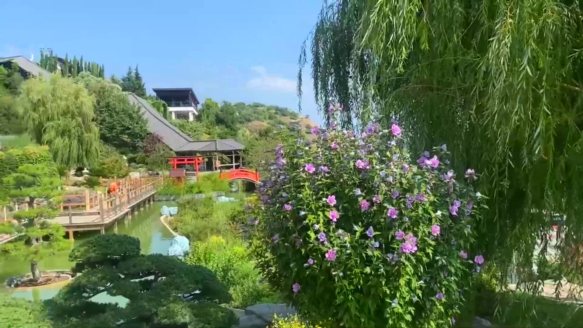 Японский сад в Крыму