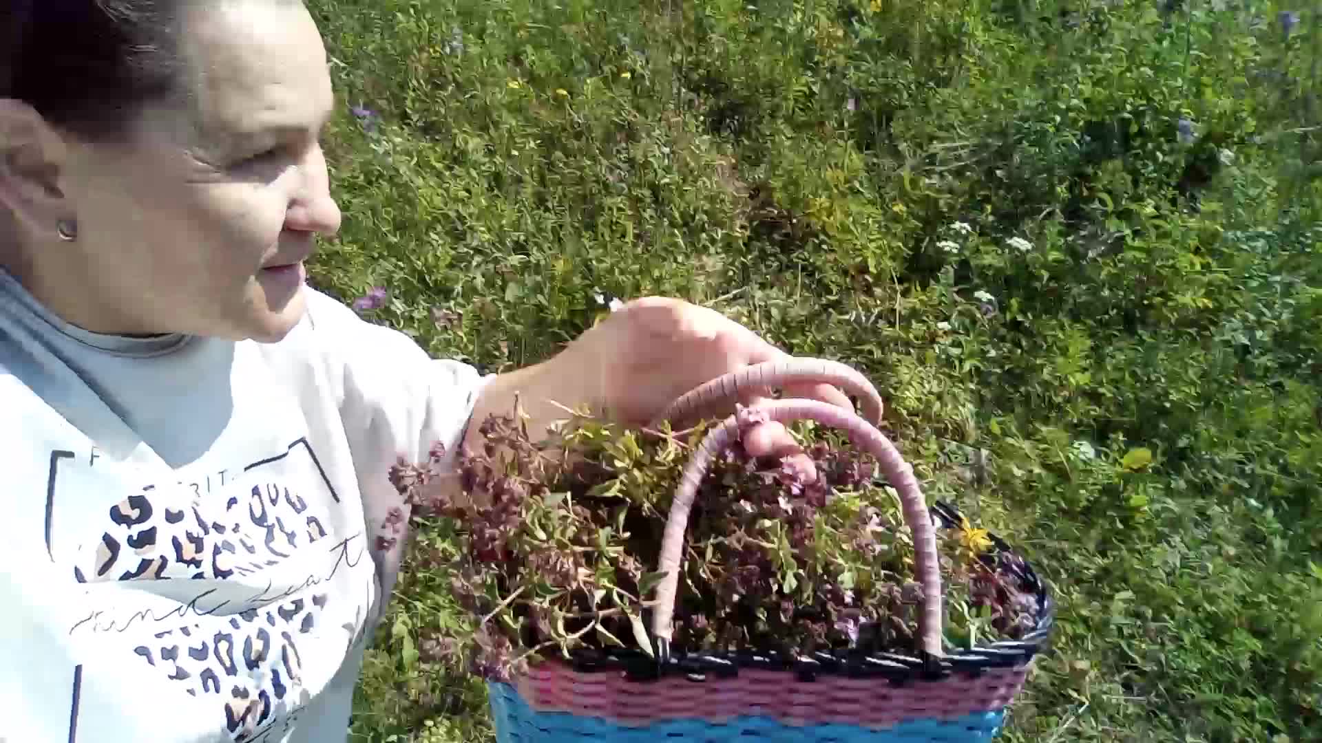 Зося айгишева на дзен. Психолог дзен. Айгишева виктория олеговна. Зося синицына. Зося золотой теленок актриса.