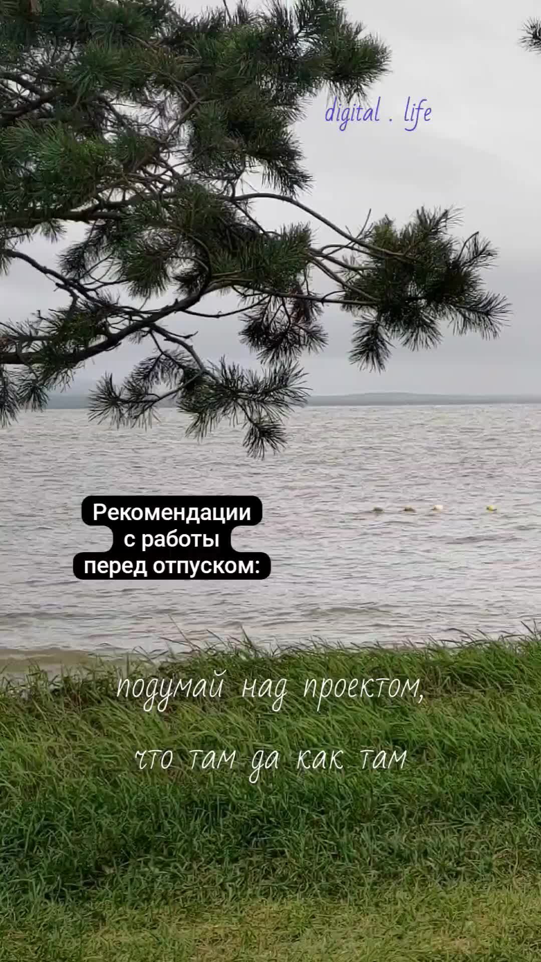 Цифровая жизнь после 45 | Перед отпуском мне советуют: подумай над  проектом, может что придумаешь, отдыхая, записывай мысли интересные. У меня  в голове во время отпуска: шшшшшшшшшшшш...и вольны😅🌊🌊🌊 | Дзен