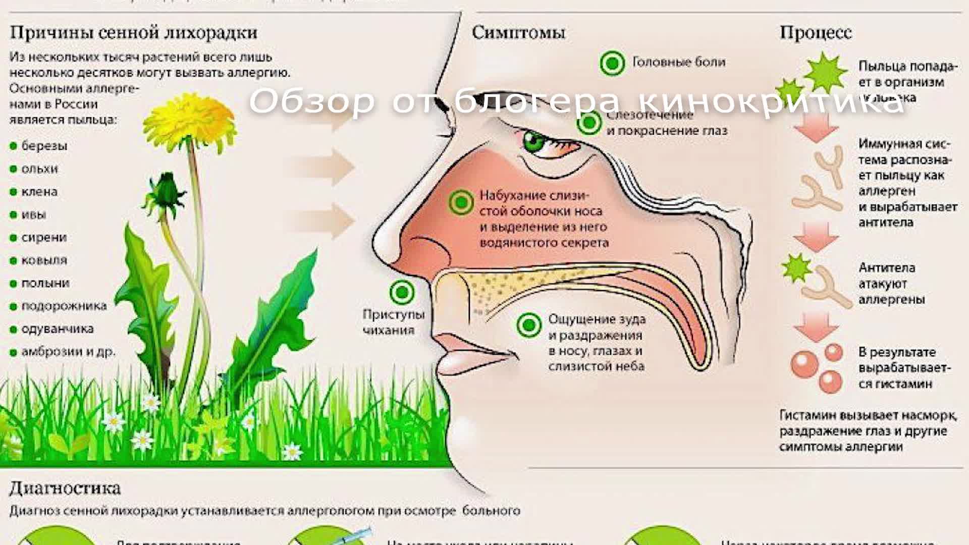 Аллергия на пыльцу карта