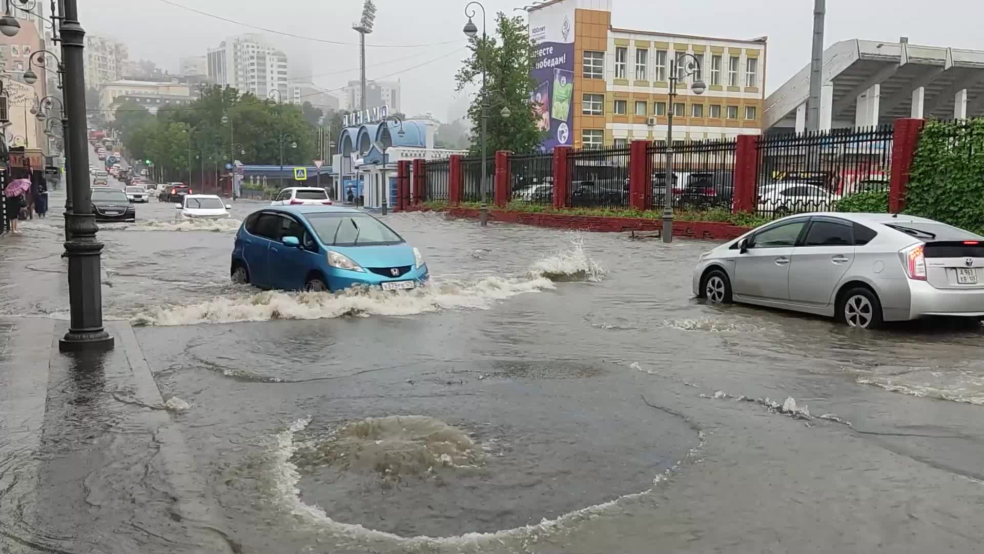 Лето было сухое дожди почти не выпадали