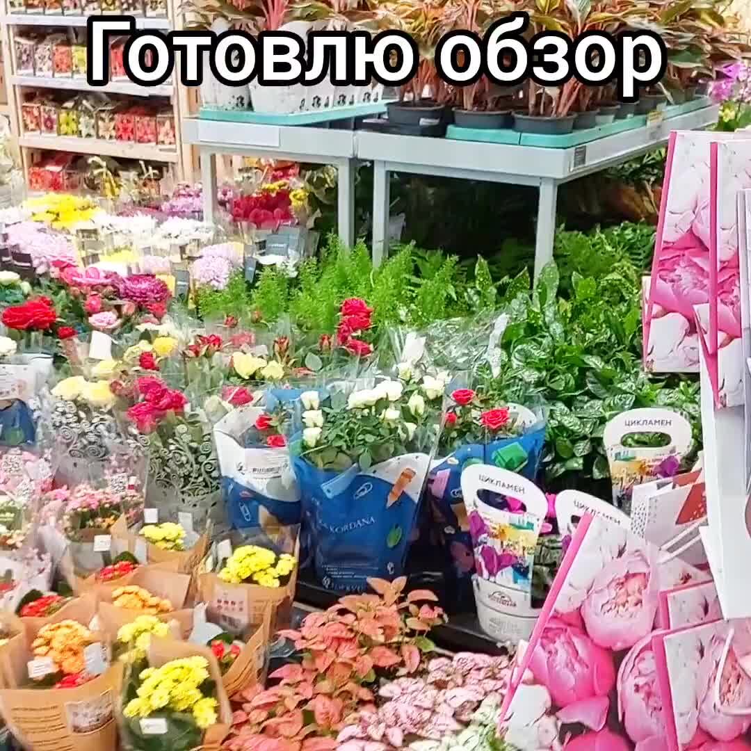 Поступление 23