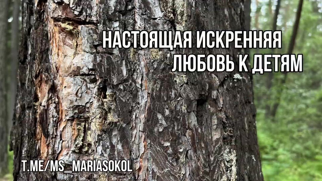 Ты настоящий искренний