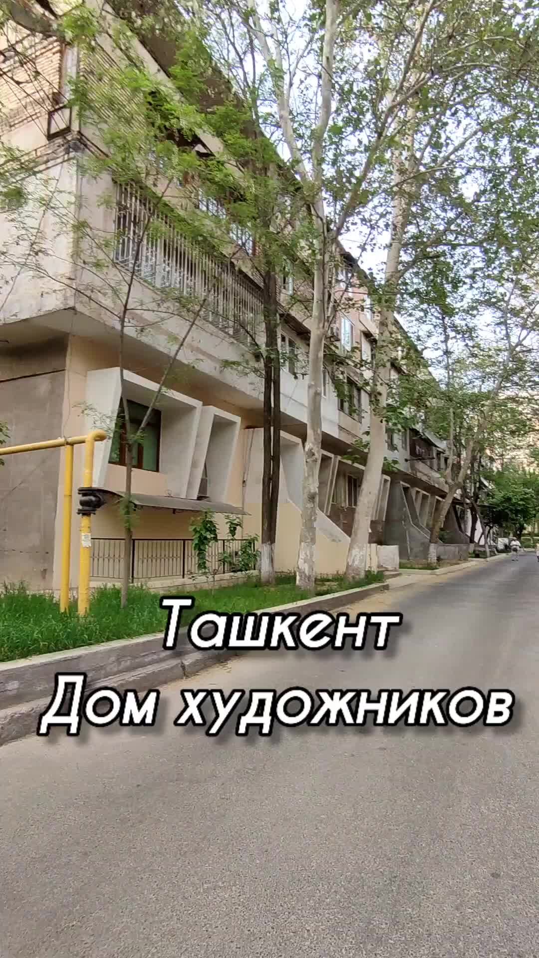 Неместные | Ташкент. Дом Художников | Дзен