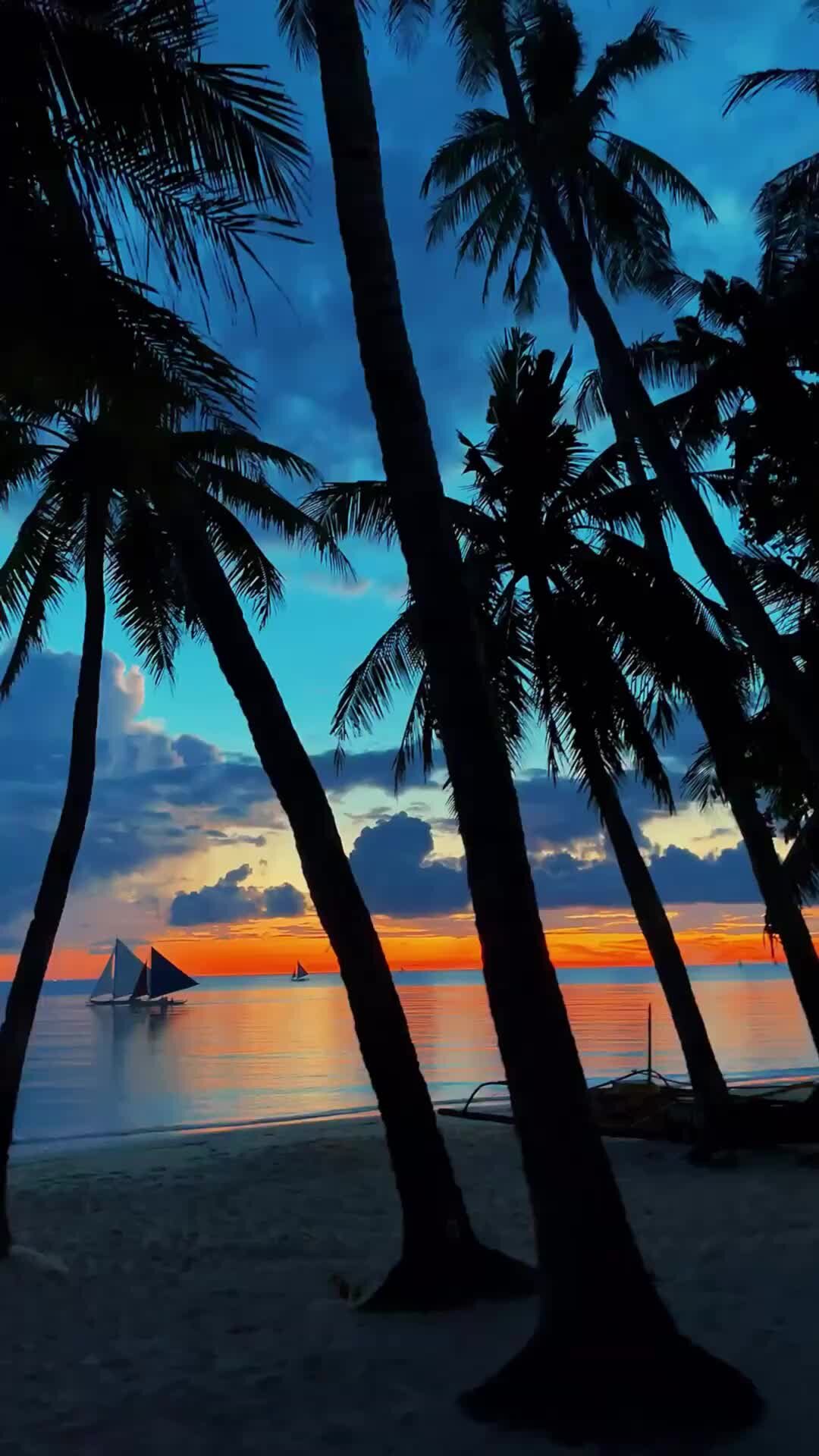 Филиппин дзен. Боракай закат. Пальмы вечером. Boracay Sunset. Филиппины дождь.