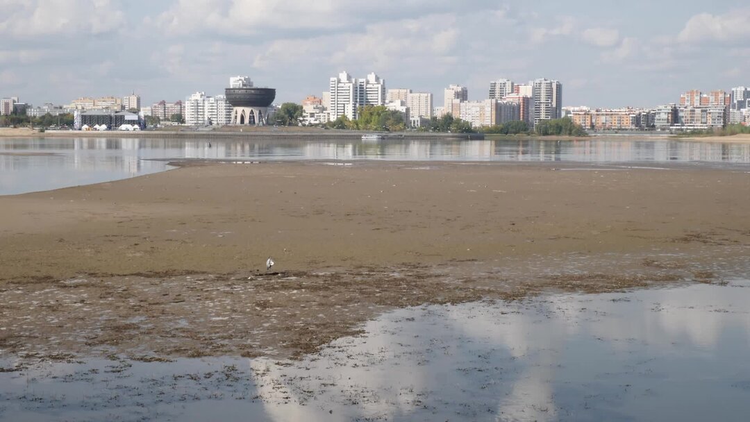 Водоемы осушили. Царицынский пруд ОСУШИЛИ. Высыхающий пруд. Высохшие водоемы. Высушенные водоемы.