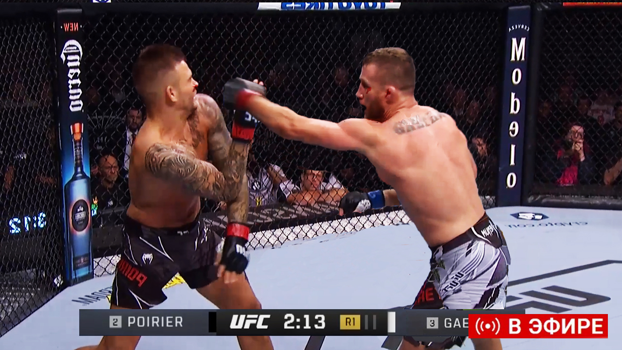 Ufc 257 прямая трансляция. майк чендерлен. Ufc 257 прямая трансляция. макгрегор порье. чендерлен.