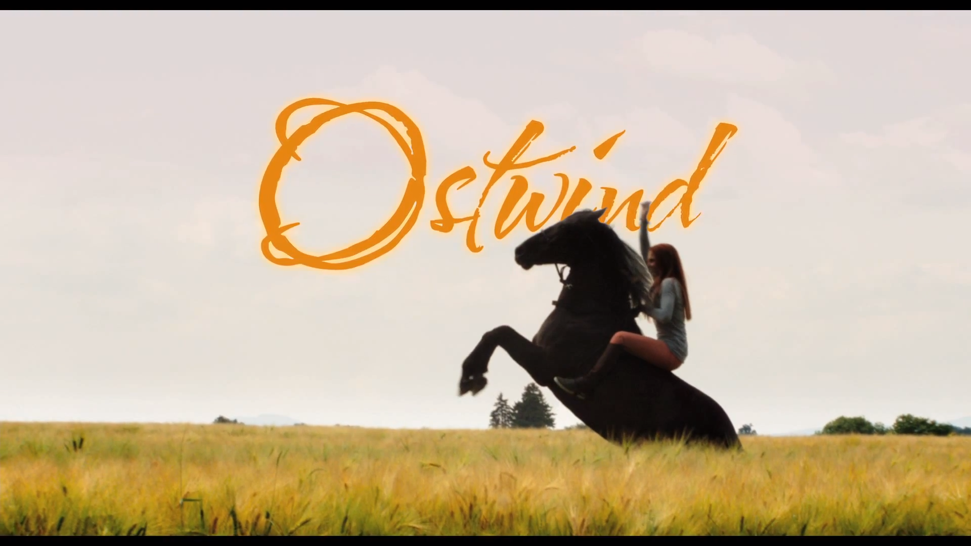 восточный ветер дождь. восточный ветер дождь фильм 2010. Wind & rain фильм 2014. Wind walk. восточный ветер дождь.