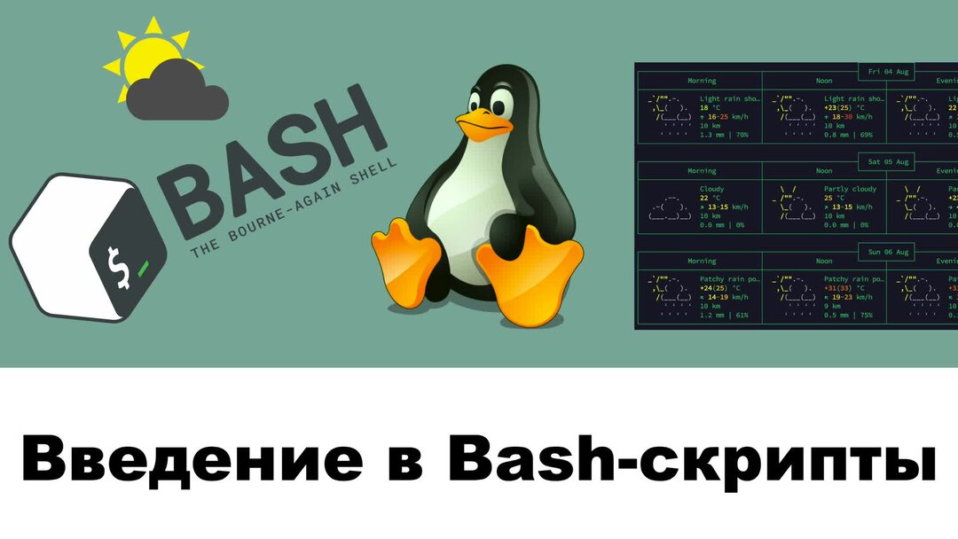 Bash скрипт удаляющий файлы. Bash скрипт удаляющий файлы