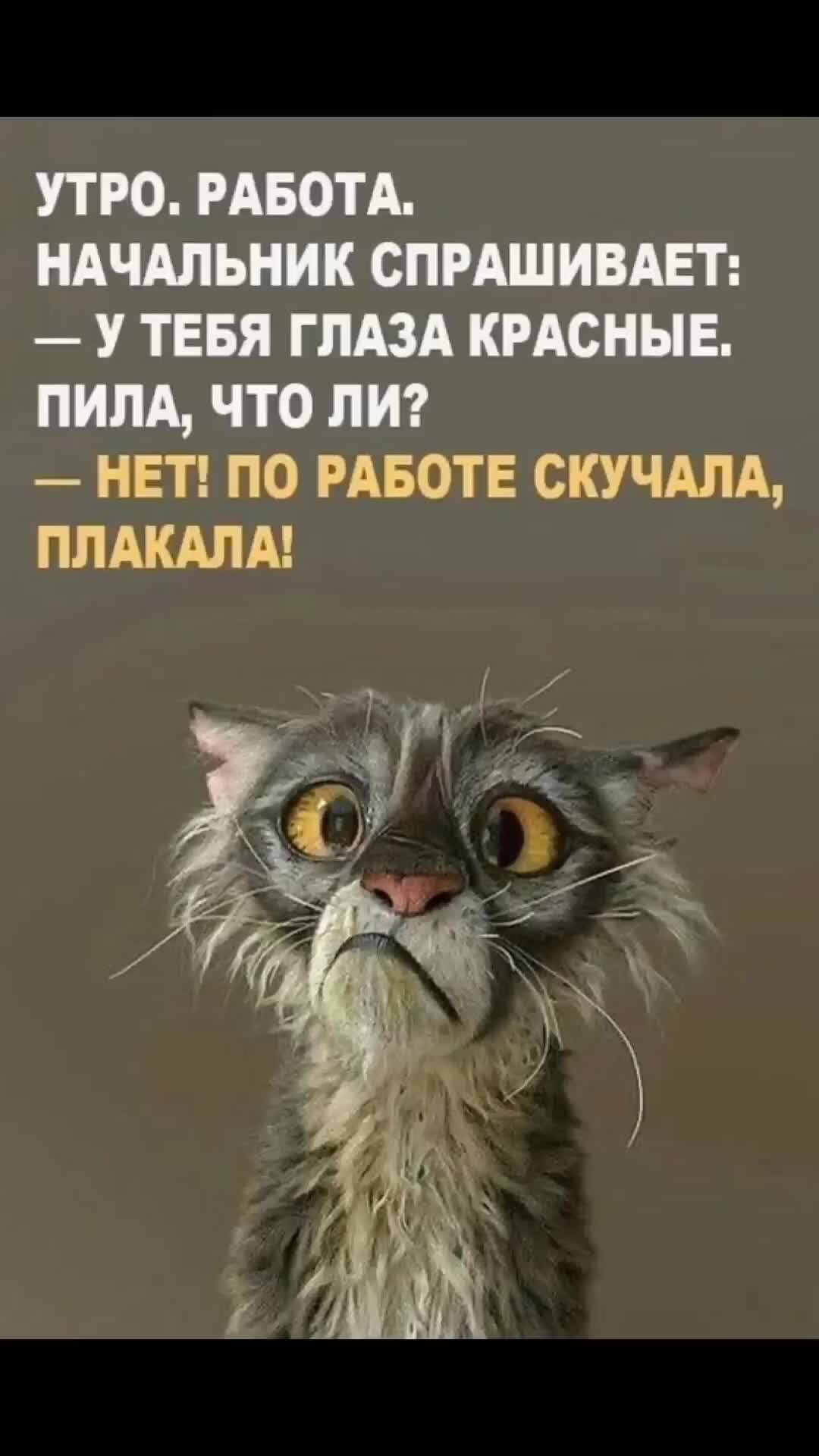 Скачать прикольные картинки про работу