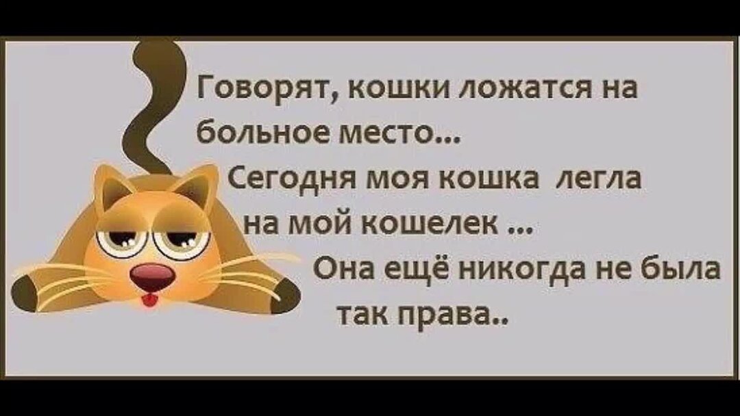 ложатся ли кошки на больное место. кошки ложатся на больное место мем. кот на больном месте юмор. ничего личного просто бизнес. коты ложатся туда где больно.