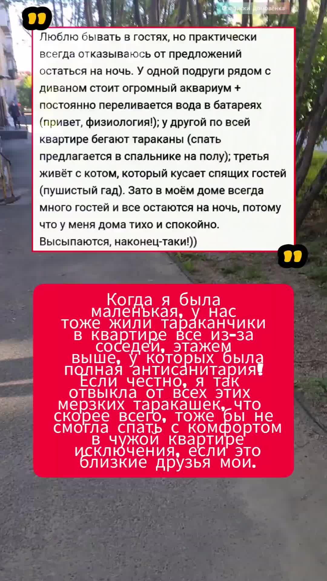 Записки Домовёнка | Новая рубрика на канале @Записки Домовёнка 👈 “моё  мнение за 5сек“ #юмор #посты #актуально #новости #интересное ⚡Выпуски  каждый день ⚡не забудьте подписаться.@Записки Домовёнка 👈 | Дзен