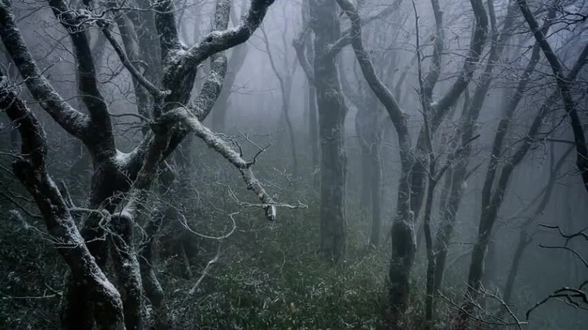 Паоло фантин сценограф. Гнесиных. Современная сцена. Scene op. Театр копенгаген опера.