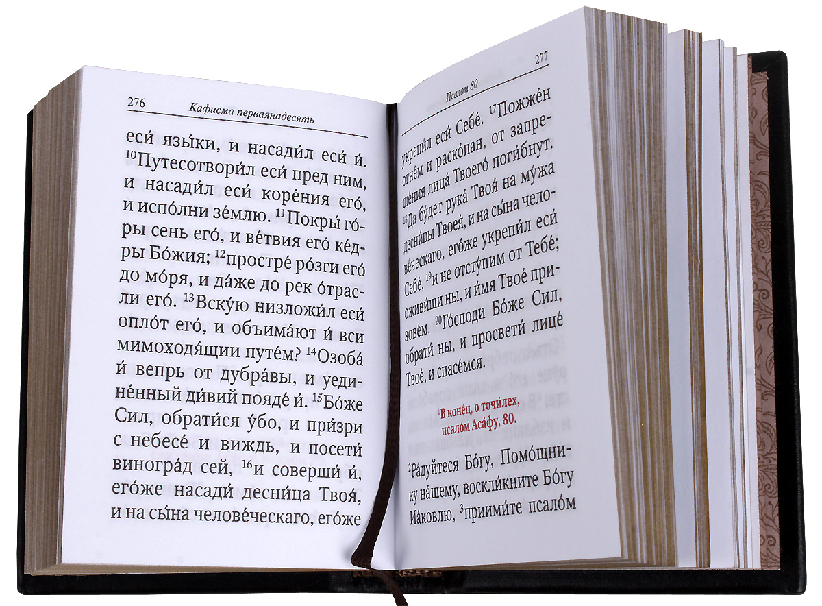 Как правильно читать псалтырь в пост дома