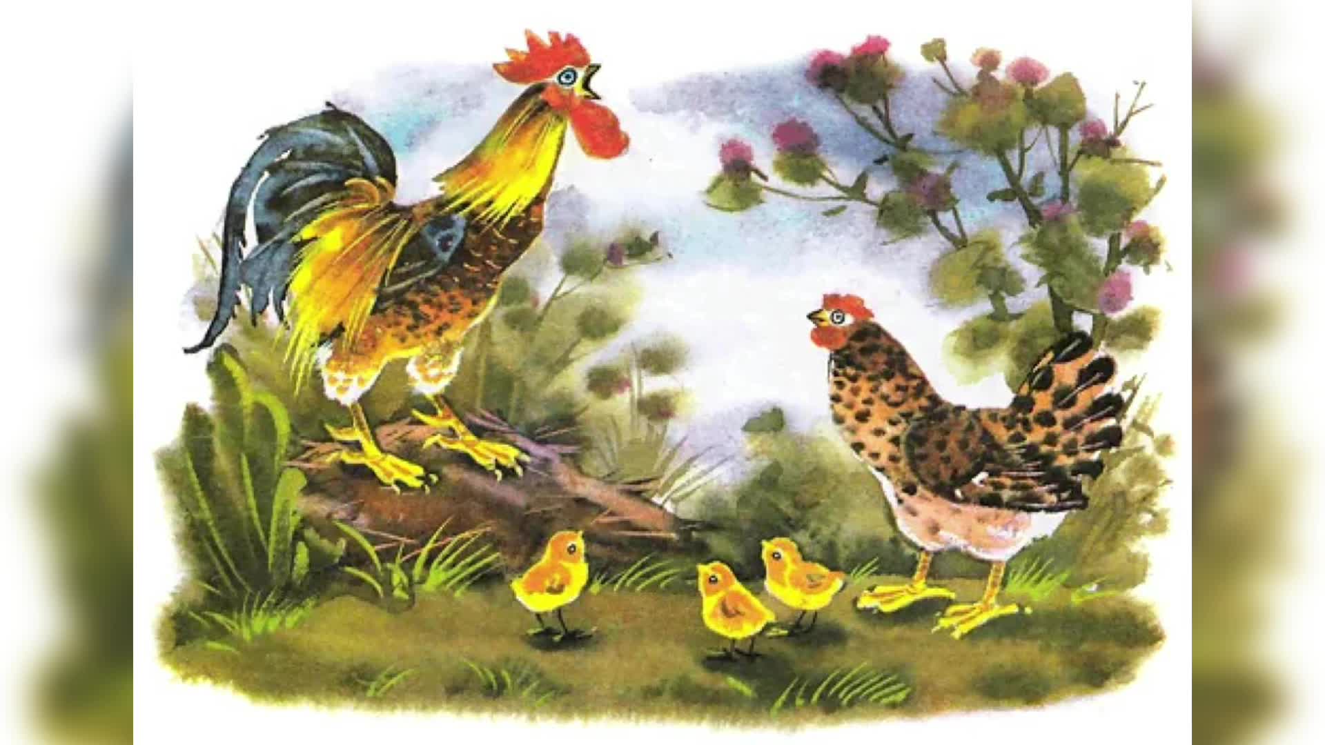 Иллюстрации к сказке петушок и бобовое зернышко. Ушинский к. "петушок с семьёй". Курочка и петух бобовое зернышко. Бобовое зернышко (петушок и бобовое зернышко). Петушок с семьей. (По к.д. Ушинскому)