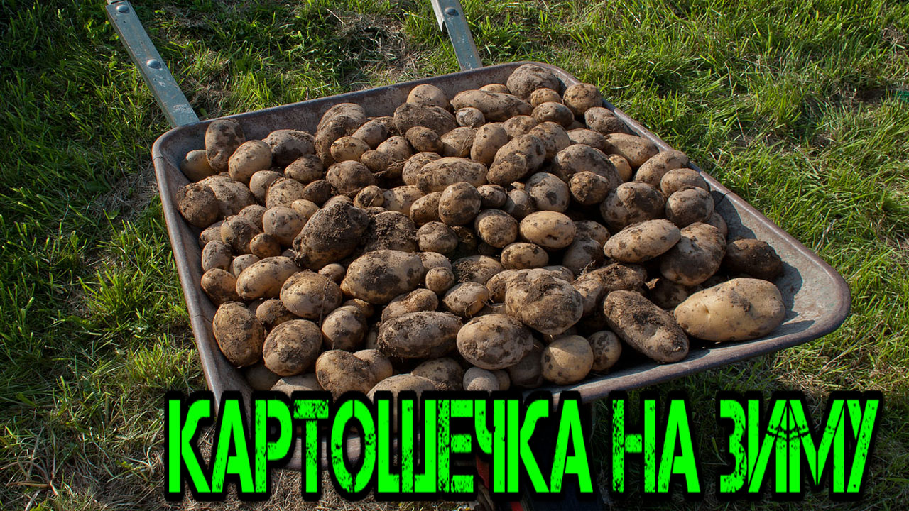 Картошка зимой