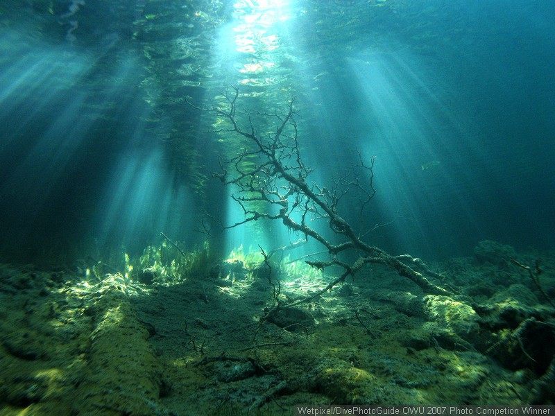 Река под водой. Озеро на дне моря. Подводные пейзажи реки. Подводный и надводный мир. Мир под водой река.