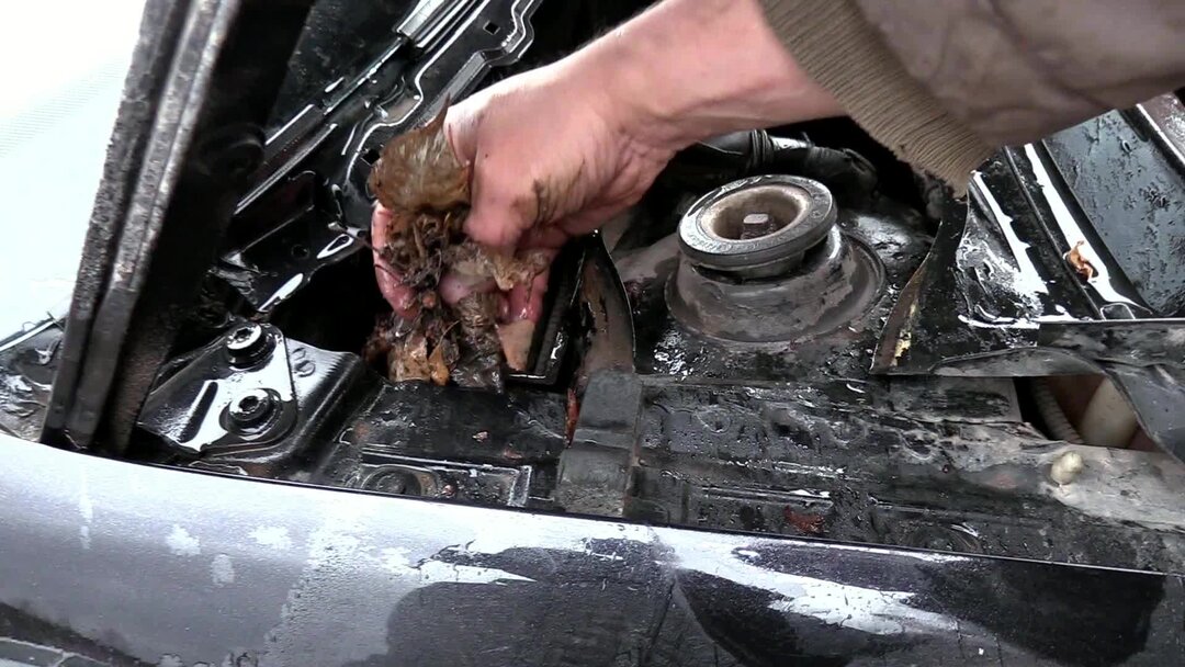 Найдена причина почему в современных авто холодно в салоне. | Denis ...