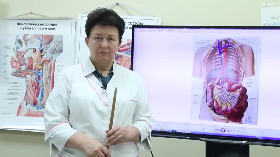Лимфатическая гимнастика шишовой видео на каждый день. Шишова лимфатическая гимнастика. лимфатическая гимнастика шишовой.