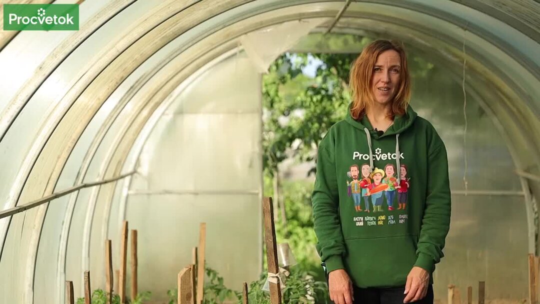 Кроты убегут без оглядки и больше не вернутся! 5 эффективных способов ...