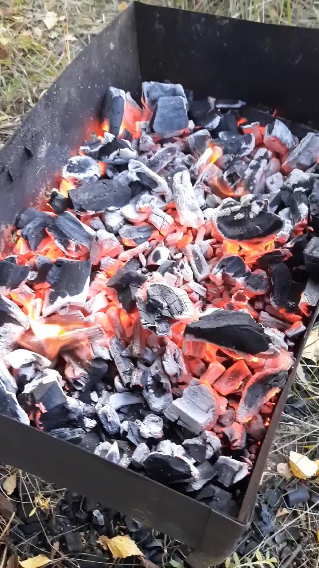 Сергей Телков Рязань | ШАШЛЫК НА УЖИН | Дзен