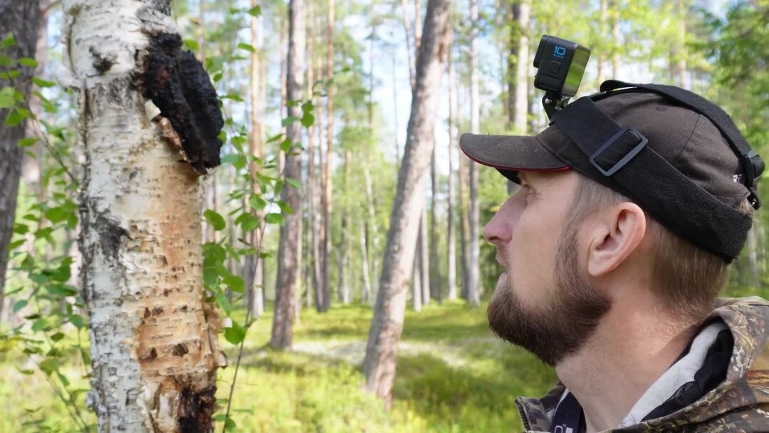 Таежный дзен канал последнее видео. Спиридонов николай таежный. Таежный канал про охоту. Таежный обитель другой вид слабоза эвенкийского. Канал таёжный николай спиридонов.