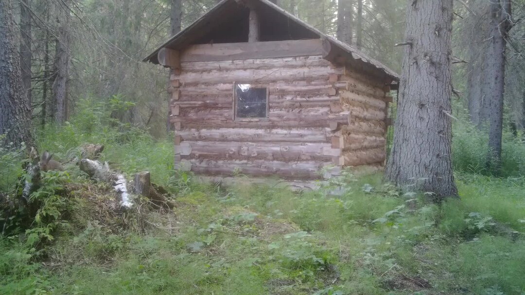 Староверы Томской области Таежные на алёнке