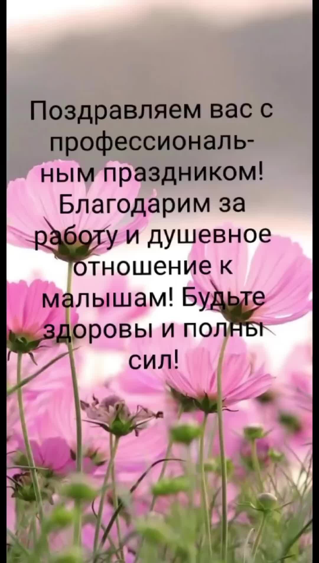 Софа и Илюша🤫 | Всех воспитателей с праздником. Спасибо за ваш труд! | Дзен