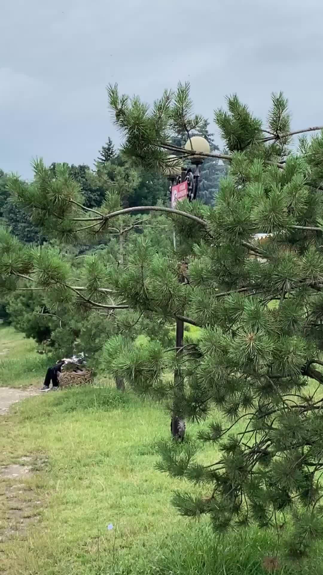 Порно нальчик в баре