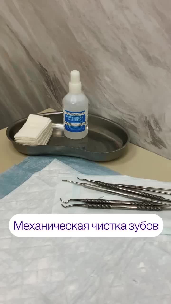 Ветеринарная клиника В Добрые руки | Чистка зубов без наркоза | Дзен