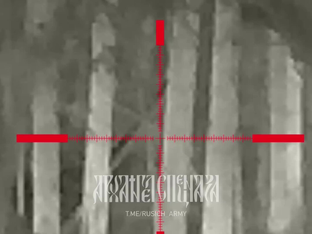 бои в серебрянском лесничестве. мособллес. ухтинское лесничество карта. лесное хозяйство луганской области. медвежьегорское центральное лесничество.