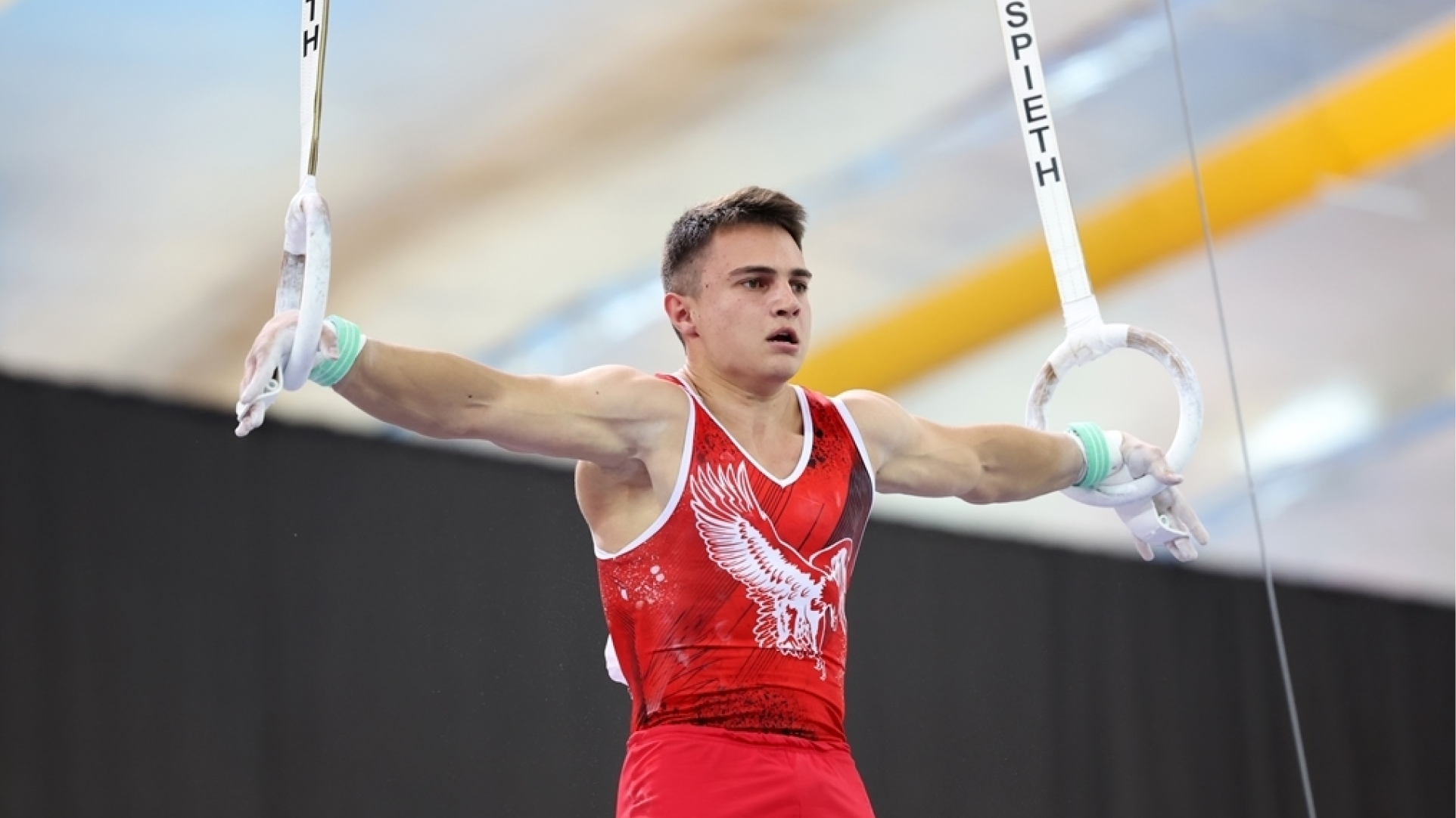 Чемпионат россии по спортивной гимнастике 2023