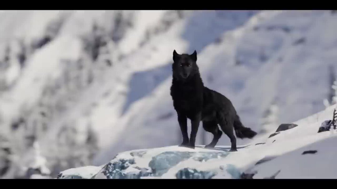 Беги вожак беги. Зов предков the Call of the Wild 2020.