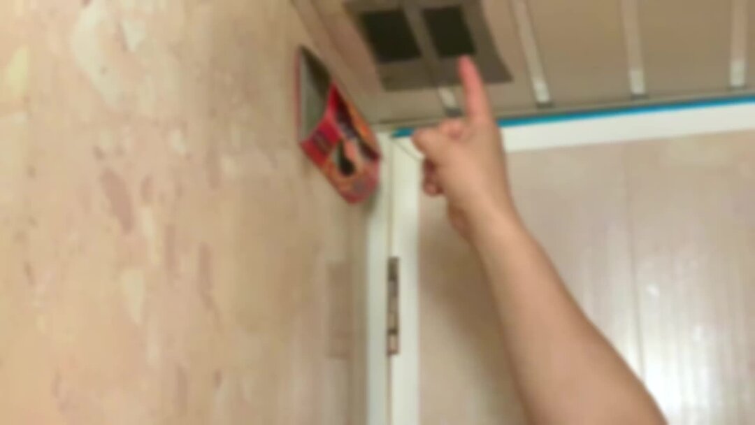 Как защититься от тараканов, когда заражен весь дом. | ДезИнСити | Дзен