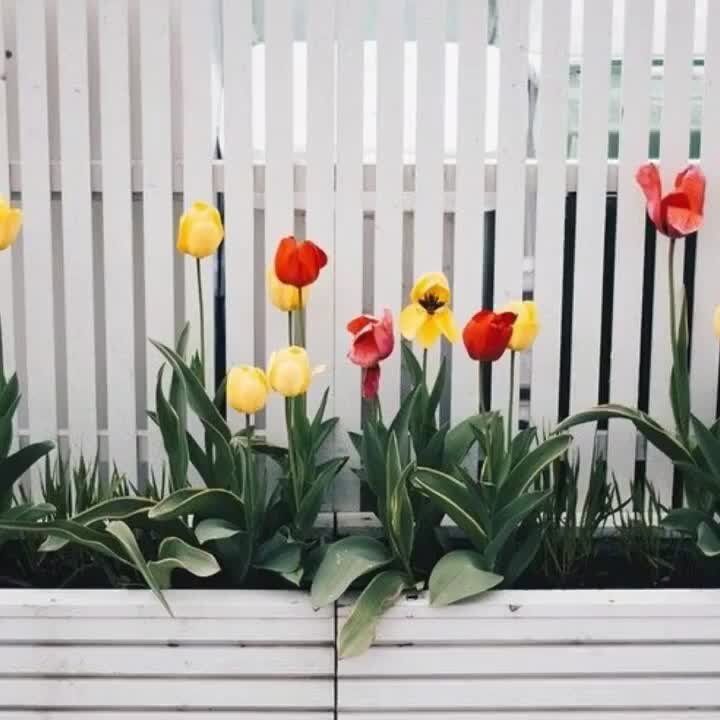 Самые дешевые варианты забора: 8 видов ограждений для вашей дачи | ИДЕИ ...