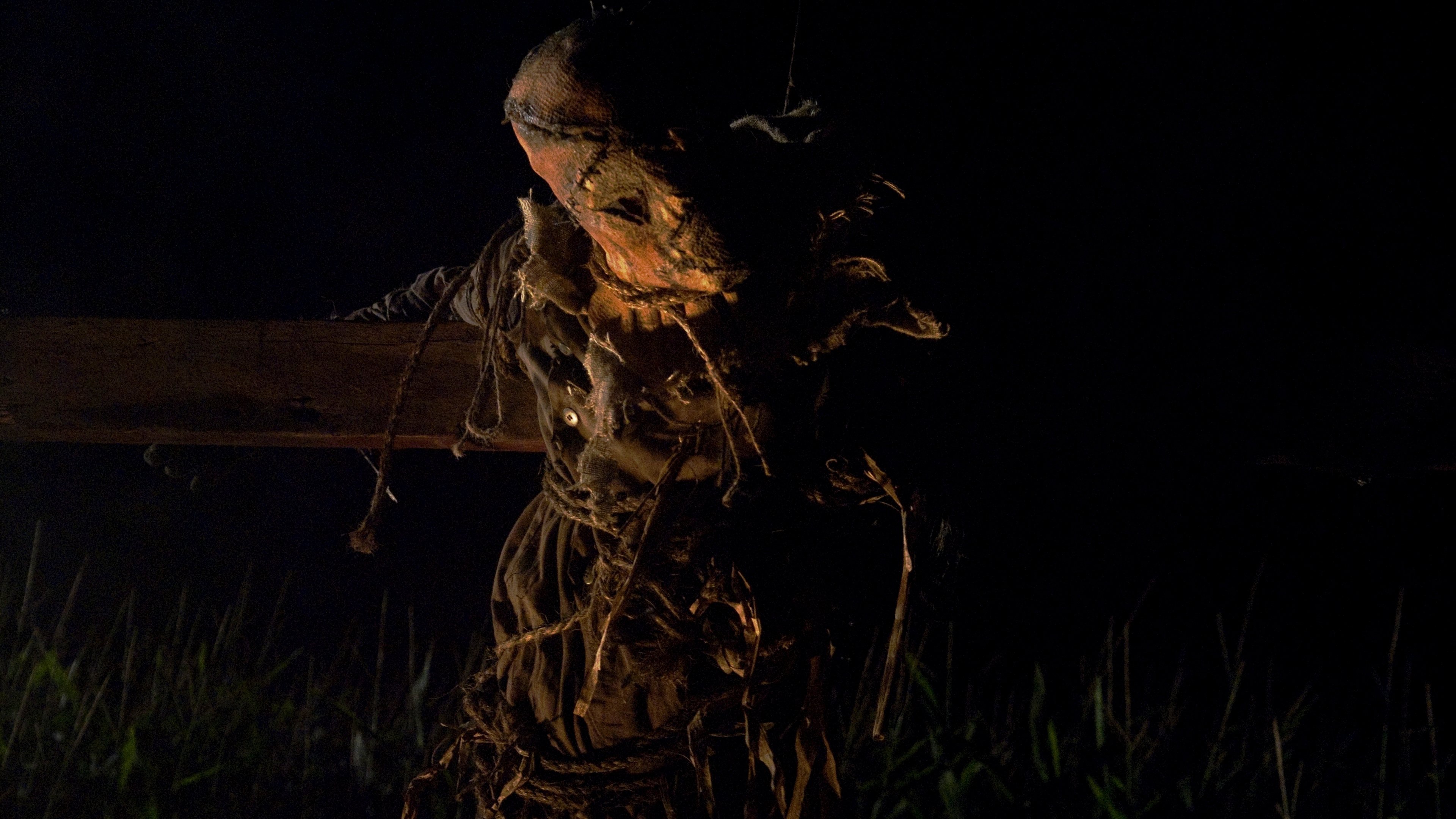 ужасы кукурузное поле. пугало на кукурузном поле. девон грайе. кукурузное поле хоррор. ужасы кукурузное поле.