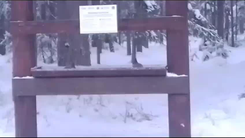 Снег ты где. Где зима. Где где зимой видео. Где где зимой видео. Новый год без снега.