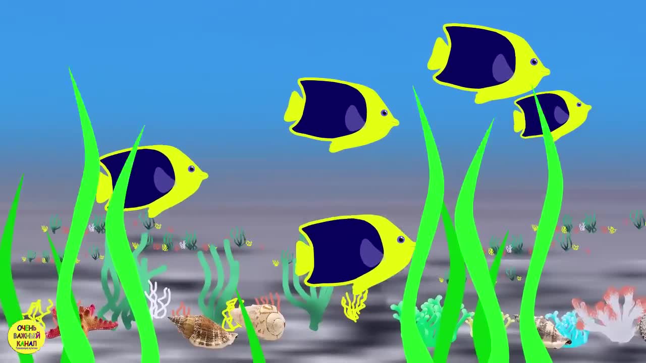 Коды цветов ff0000. Разрешение full hd в пикселях. Цвета. Цвета размер видео. Цвета размер видео.