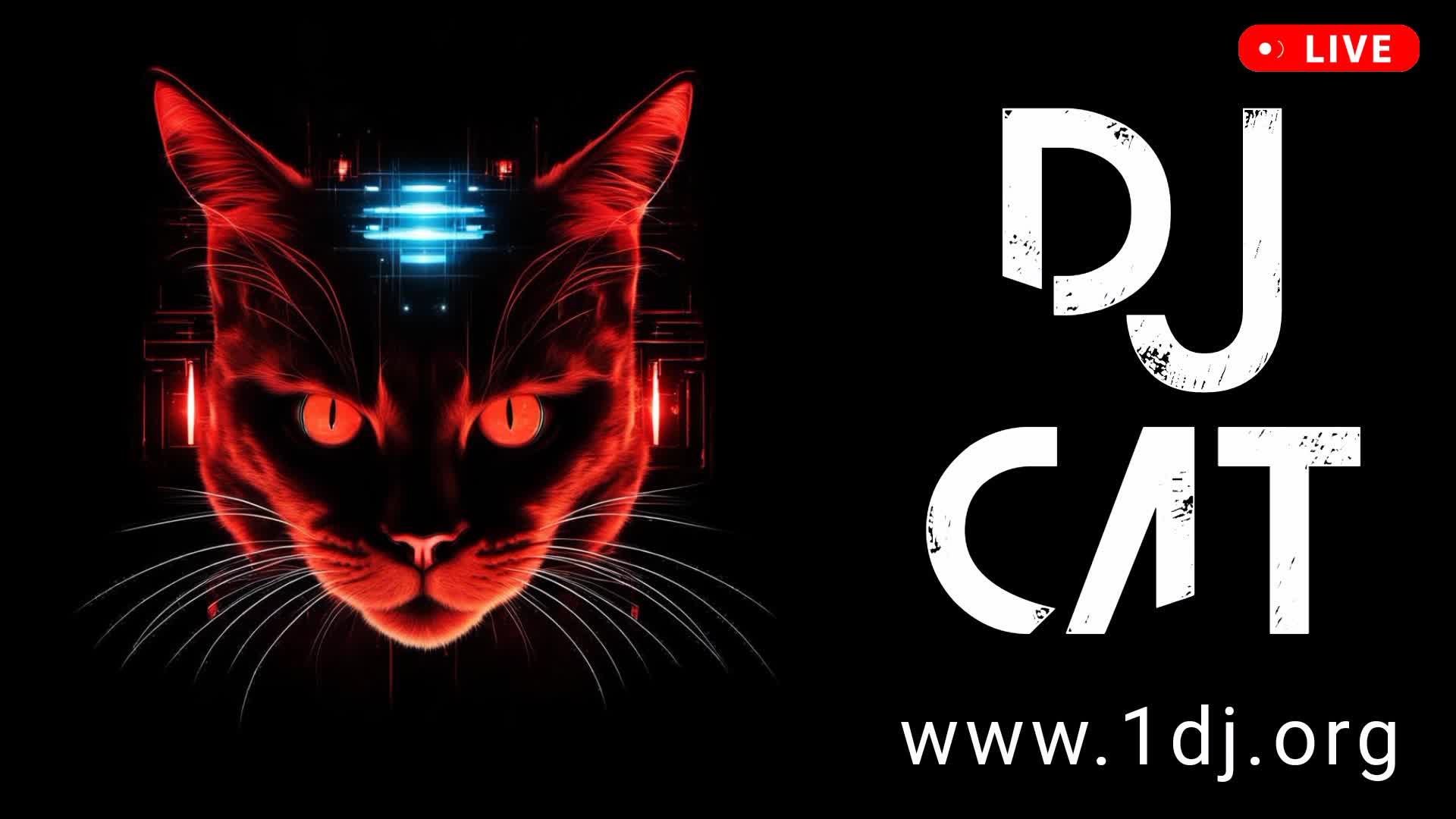 Dj 2024. Dj 2024. Verizon 5 г интернет. Dj 2024. Dj 2024.